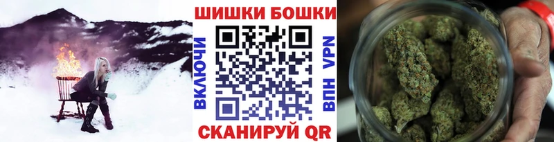 Где продают наркотики Циолковский Гашиш  Alpha-PVP  Меф мяу мяу  Канабис  АМФЕТАМИН  COCAIN 