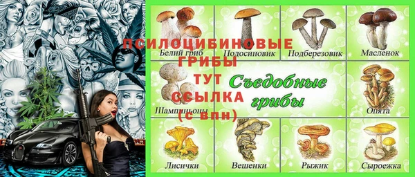 дурь Алексеевка