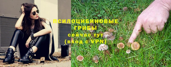 дурь Алексеевка