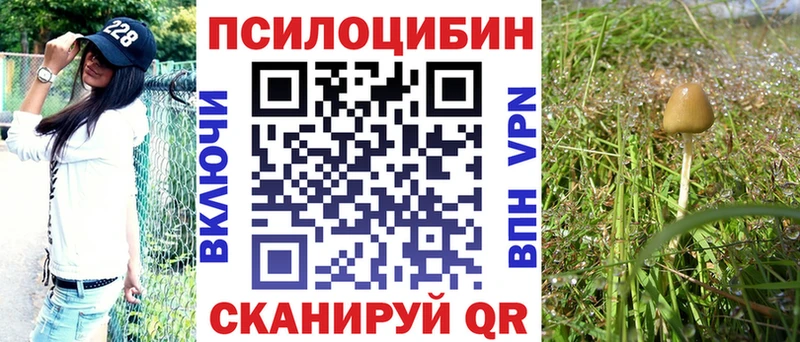 Галлюциногенные грибы ЛСД  магазин продажи   Циолковский 